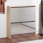 Shoe Cabinet 2-Layer Mirror Oak 63x17x67 cm