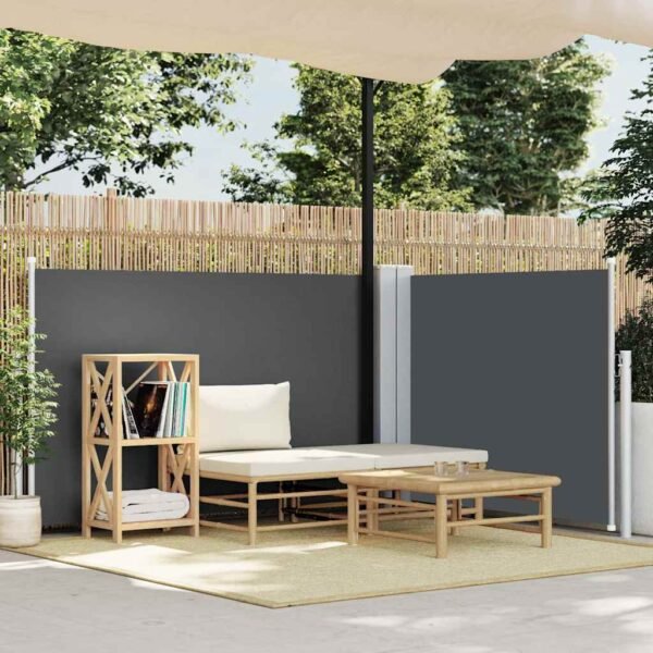 Retractable Side Awning Anthracite 100x600 cm