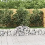 Arched Gabion Baskets 2 pcs 200x30x40/60 cm Galvanised Iron