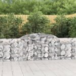 Arched Gabion Baskets 2 pcs 300x30x80/100 cm Galvanised Iron