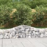 Arched Gabion Basket 200x30x40/60 cm Galvanised Iron