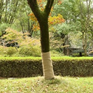 Jute Roll 1x5 m 100% Jute 200 gsm