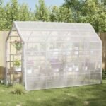 Plant Cover Transparent 3 x 3 m PE
