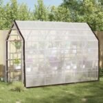 Plant Cover Transparent 3 x 3 m PE