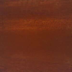 Lawn Edging 20 pcs Brown 100 x 0.05 x 20 cm Weathering Steel