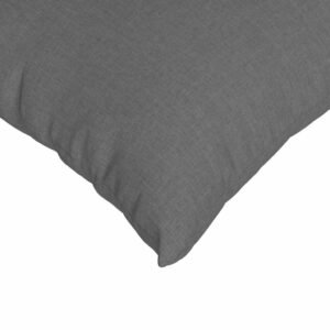 Sofa Pillows 2 pcs Dark Grey 60 x 40 cm Fabric