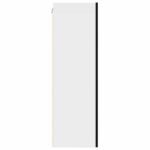 Hanging Cabinet with Door Black Oak and White 50 x 31 x 100 cm