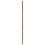 Barn Door Wax brown 100 x 2,5 x 208 cm Solid Pine Wood